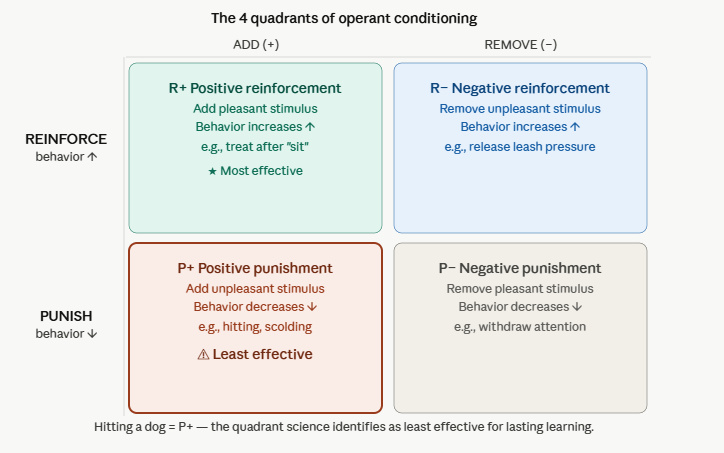 Operant conditioning quadrants diagram showing why hitting your dog backfires