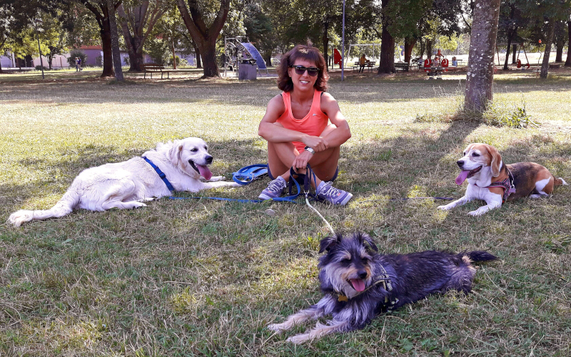 Dog trainer sitting at the park with three dogs and no phone visible