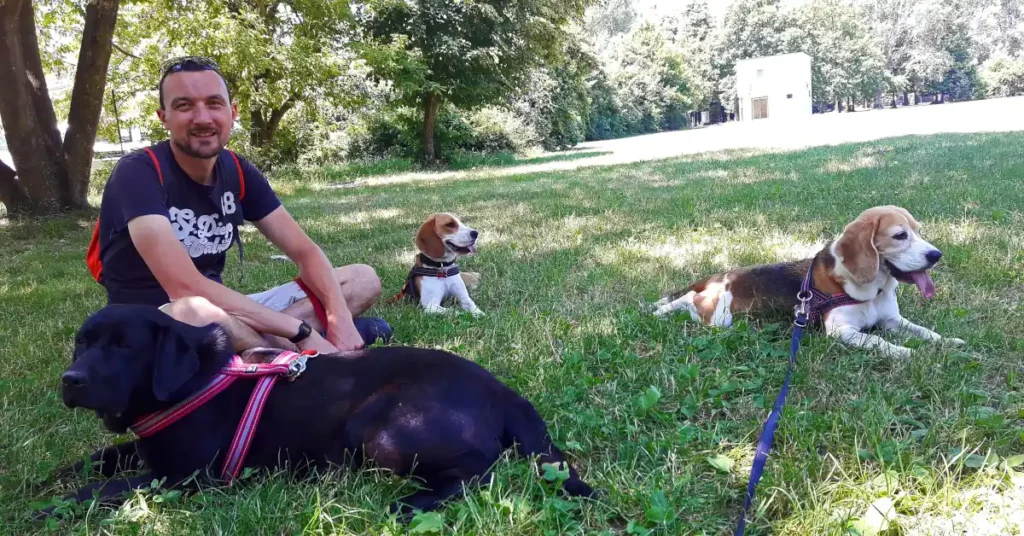 Dog trainer sitting at the park with three dogs, no phone in sight
