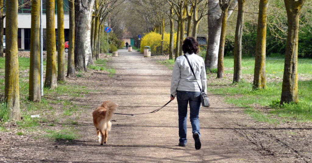 Dog and owner practicing loose leash walking on a park trail