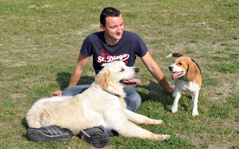 Dog trainer sitting on the grass at a dog park with two dogs