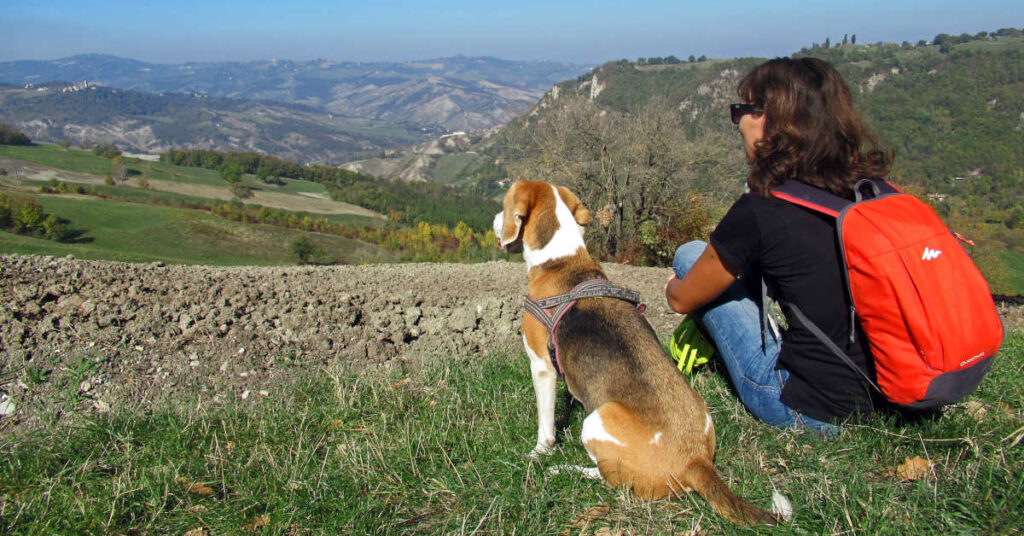 Dog trainer and her Beagle looking out at a hillside view together