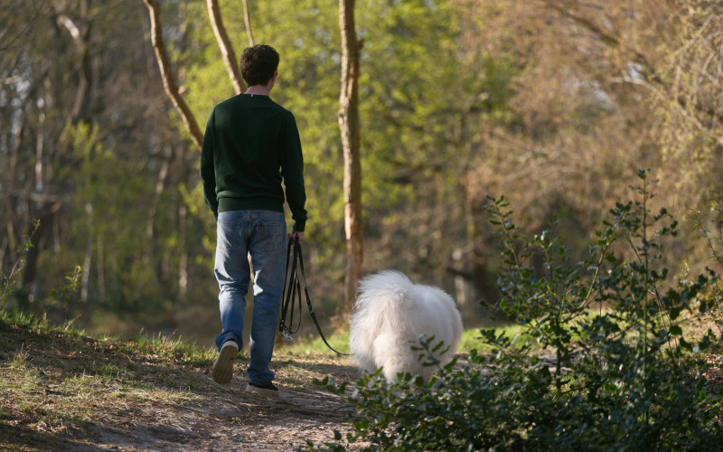 Dog meeting its needs on a calm walk through the woods