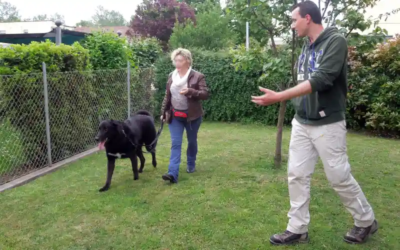 Trainer coaching a client on loose-leash attention training with her dog in a low-distraction garden