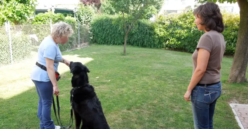 Trainer coaching a client teaching her dog to sit, an example of basic obedience training in a quiet setting