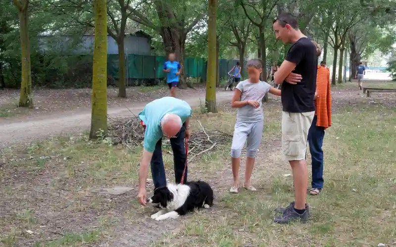 Trainer assisting a client and her Border Collie during a training session in a semi-crowded public park