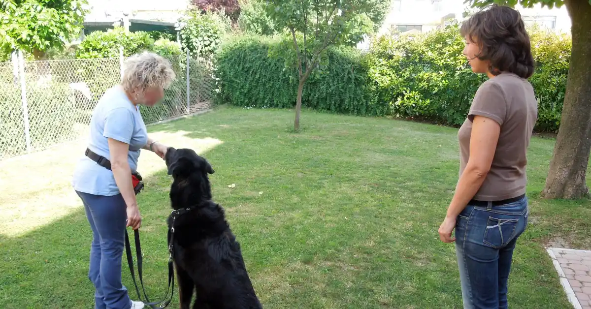 Trainer coaching a client teaching her dog to sit, an example of basic obedience training in a quiet setting