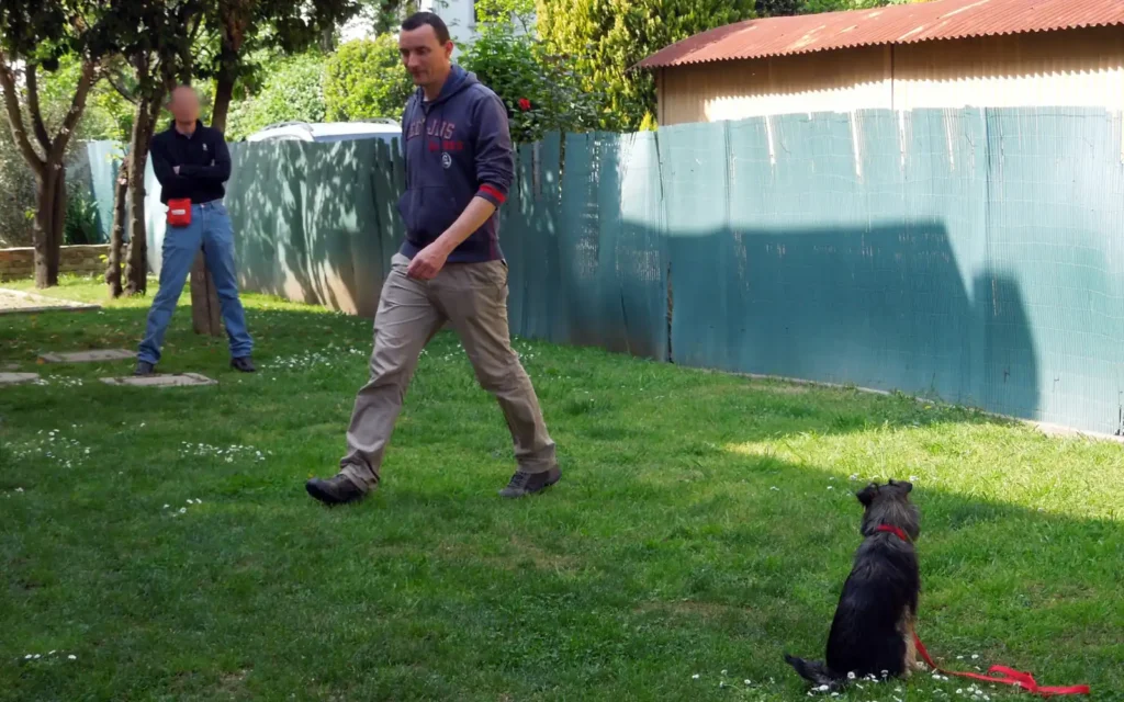 Dog trainer Francesco walking between a seated dog and its owner during a stay command exercise
