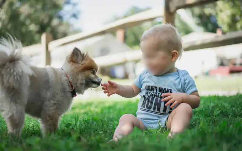 Young child sitting on the grass as a puppy approaches in a calm, friendly moment