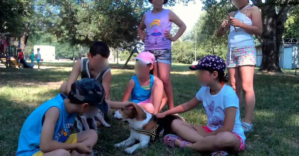 Beagle lying calmly on the grass surrounded by children, a supervised moment between kids and dogs