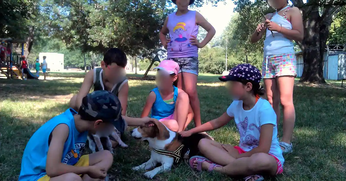 Beagle lying calmly on the grass surrounded by children, a supervised moment between kids and dogs