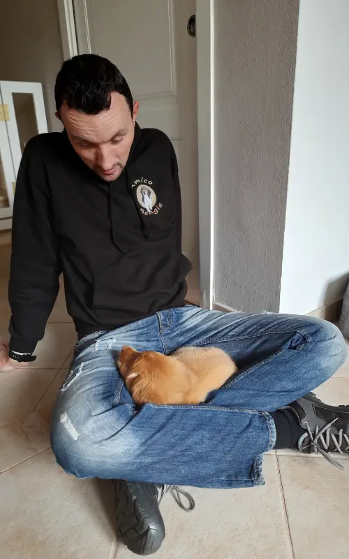 Young puppy curled up in her owner's crossed legs while he talks to her on the floor
