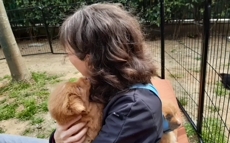 Puppy held safely in her owner's arms outdoors before completing her vaccine series