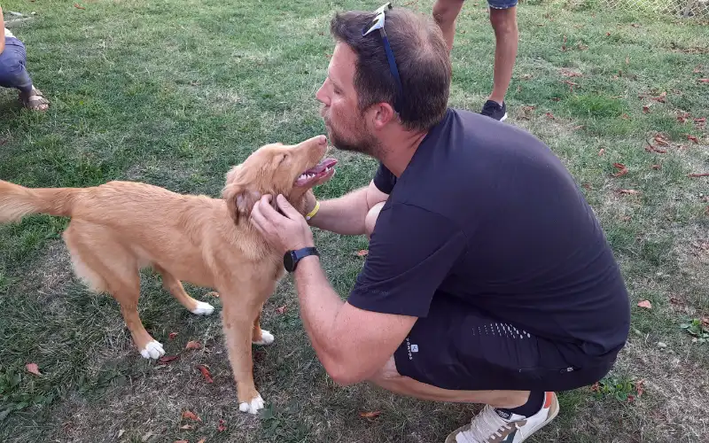 Puppy standing on grass playfully approaching a trusted friend's face in a safe backyard setting