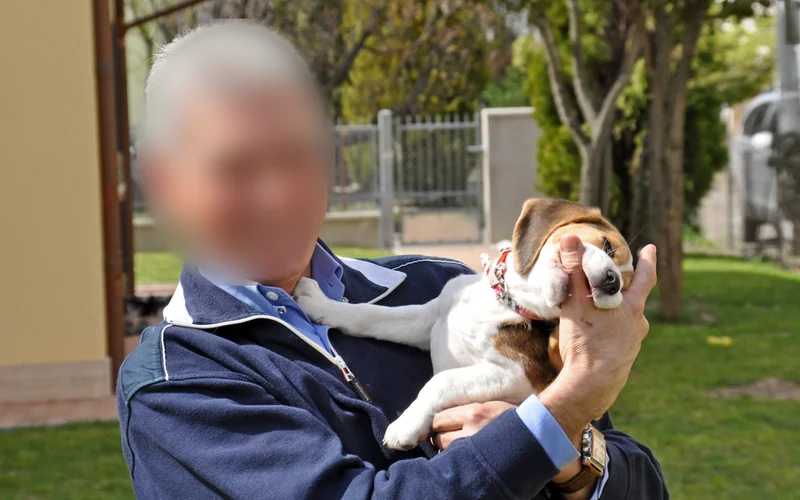 Smiling man holding a Beagle puppy who is gently mouthing his thumb