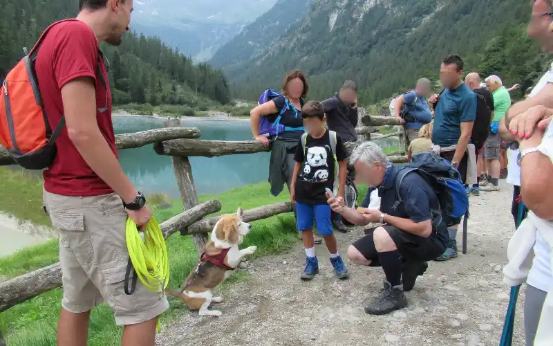Diana the Beagle on leash raising her front paws toward a crouching hiker photographing her, while a group of hikers watches beside a turquoise alpine lake