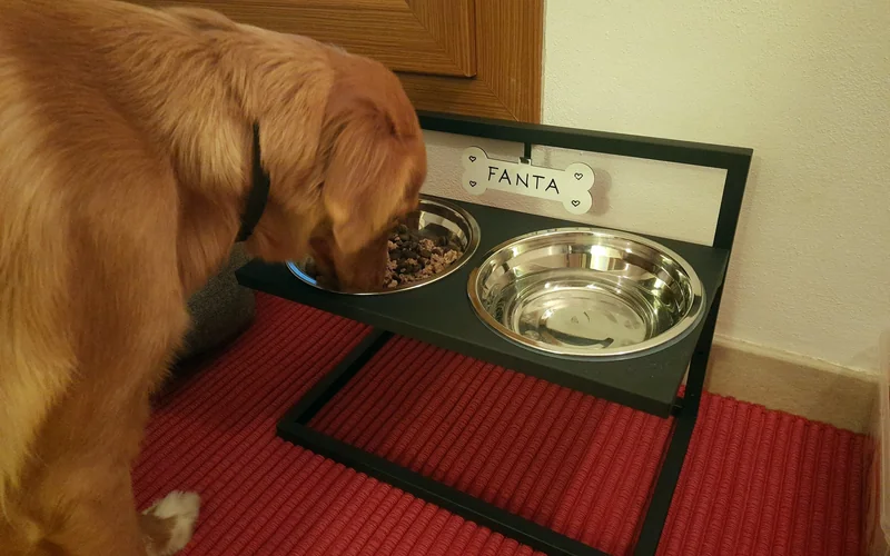 Nova Scotia Duck Tolling Retriever eating from a raised bowl stand with her name on it, in a quiet corner