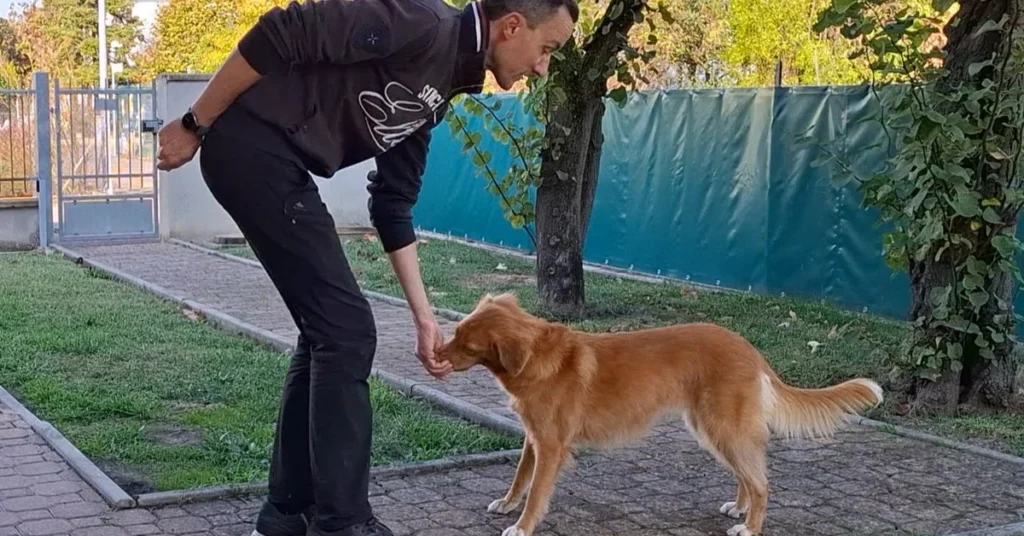 Francesco rewards Fanta for keeping four paws on the floor, the heart of how to stop your dog from jumping on people